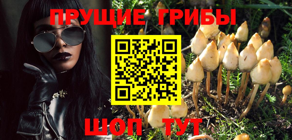 Елизово  Псилоцибиновые грибы GOLDEN TEACHER  Вход с VPN 