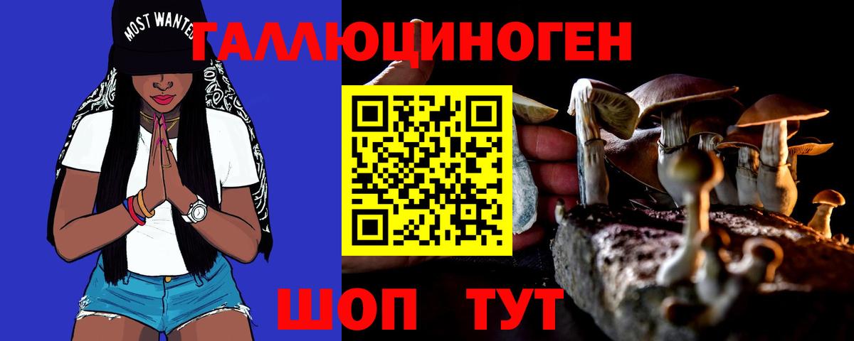 Псилоцибиновые грибы MAGIC MUSHROOMS Елизово